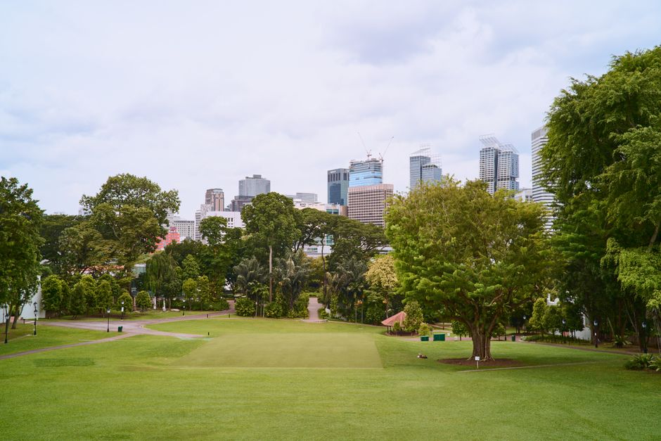 Stadsplein vol bomen en picknickende buurtbewoners. Stadsplein vol bomen en picknickende buurtbewoners.