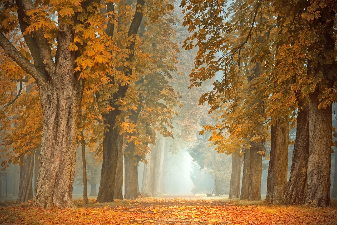 Gezellige herfstdecoraties bij schilderworkshop.