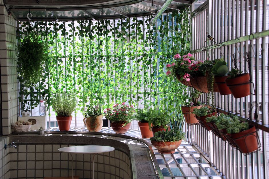 Kleurrijke herfstplanten in potten op balkon. Kleurrijke herfstplanten in potten op balkon.